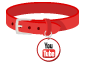Red dog collar with YouTube Logo as name tag
