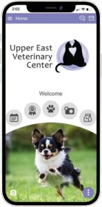Image of cell phone with a screenshot of the upper east vet app